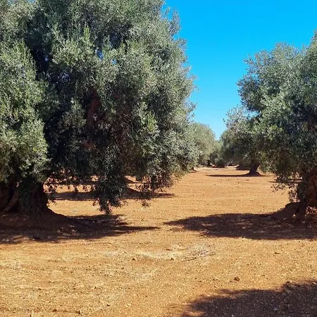Διαμέρισμα Domus De Peppe
